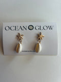 Starfish shell earrings